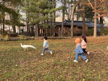 반갑다~ 공작새야~