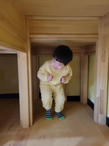 꼭꼭 숨어라~  술래에게 보일라~